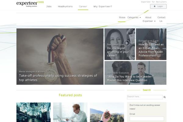 experteer-blog theme websites examples