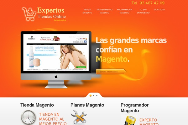expertos-tiendasonline.com site used Theme1663