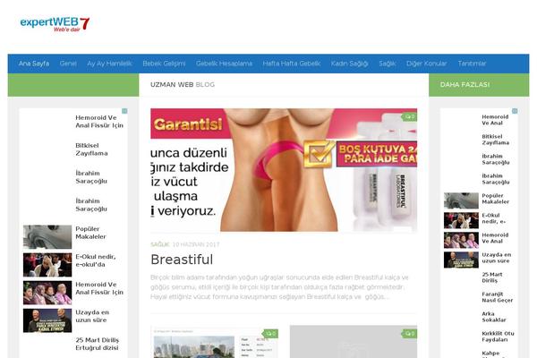 Hueman theme site design template sample
