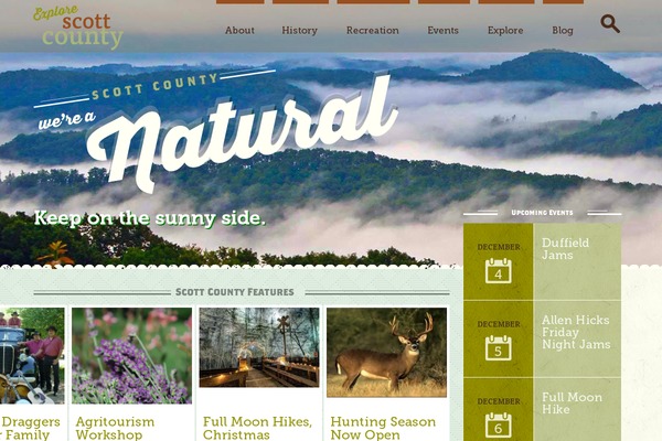 scottcounty theme websites examples