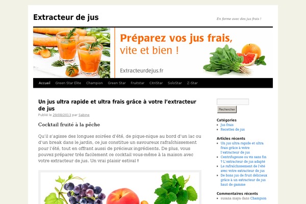 WordPress website example screenshot