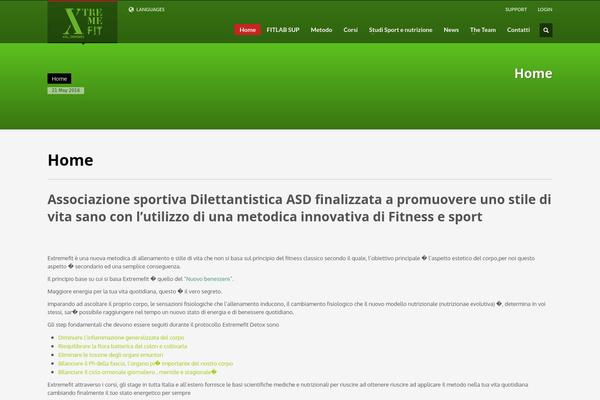WordPress website example screenshot