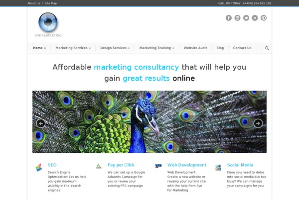 eyeformarketing.com site used Efm_new