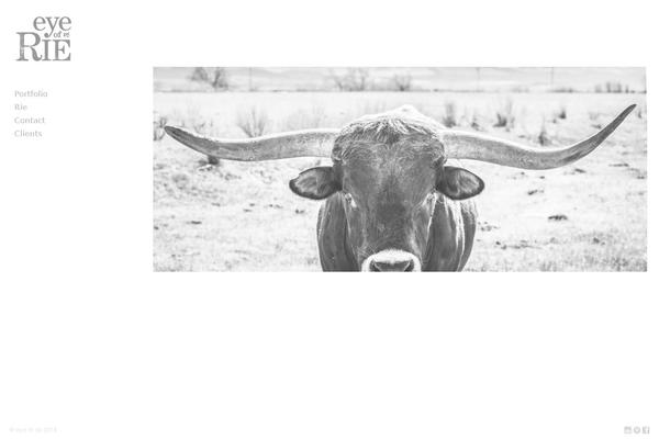 eames WordPress theme, websites list used eames theme eames theme websites examples