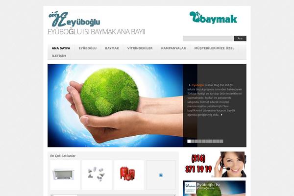 eyubogluisi.com site used Theme1530