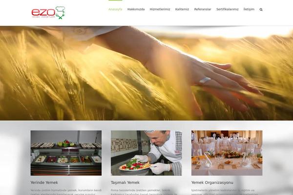 Avada theme site design template sample