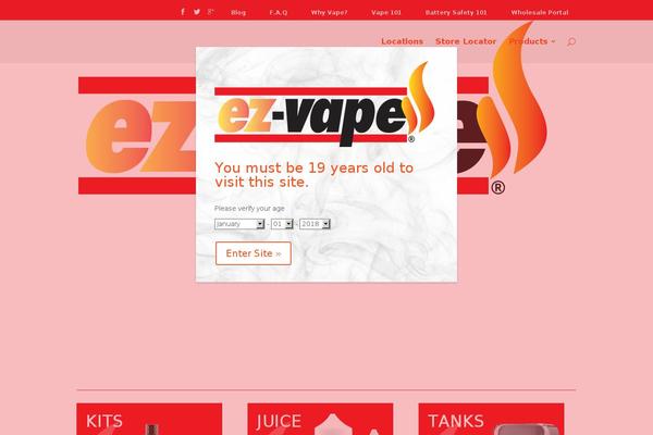 Divi Child theme site design template sample
