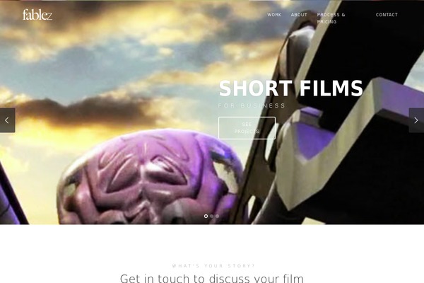 WordPress website example screenshot