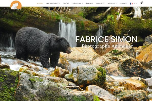 Photography theme site design template sample