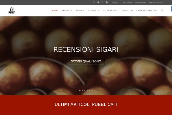 Divi theme site design template sample