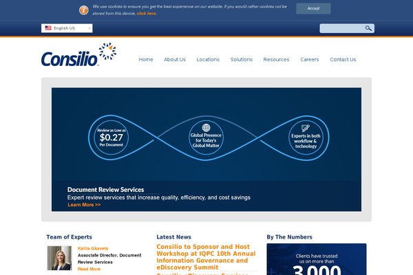 Custom theme site design template sample