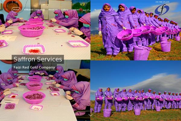 faizi-group.com site used Faizigroup