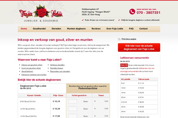 WordPress website example screenshot