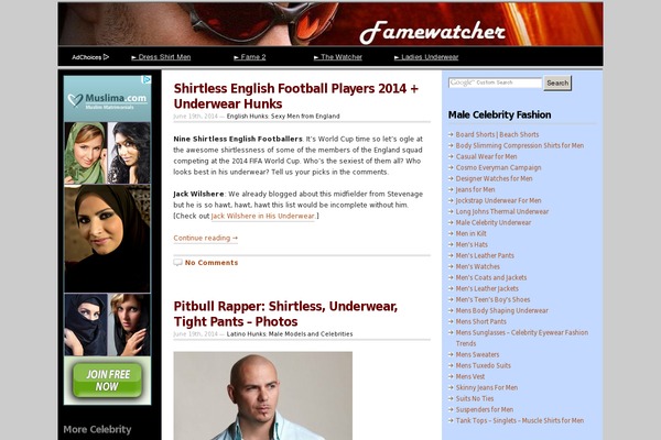 Site using Autoptimize plugin