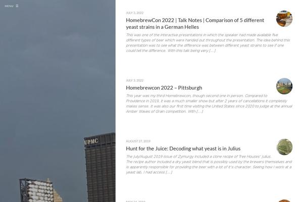 WordPress website example screenshot