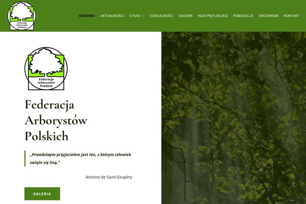 Divi theme site design template sample