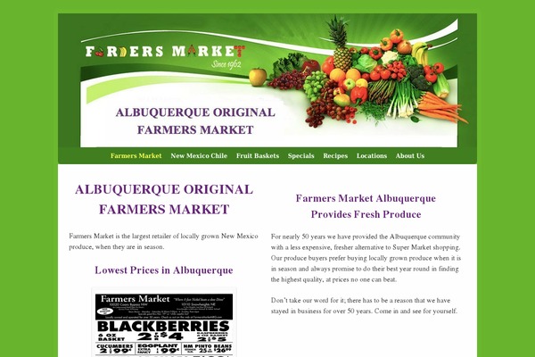 WordPress website example screenshot