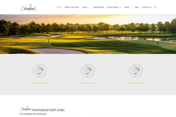 Divi theme site design template sample