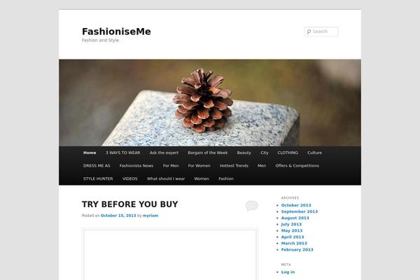 Twenty Eleven theme site design template sample