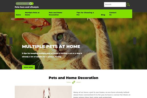 fatcatvideo.net site used Pet-animal-store-child