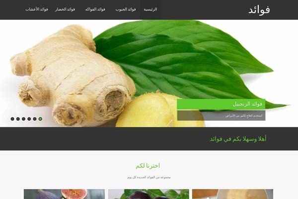 Jannah theme site design template sample