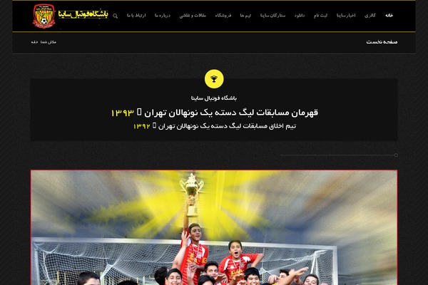 Enfold theme site design template sample