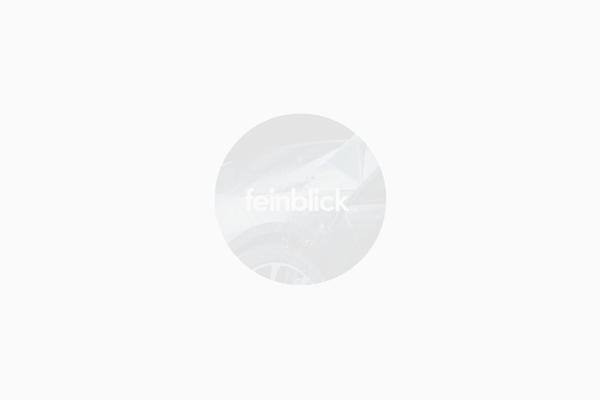 feinblick.com site used Feinblick