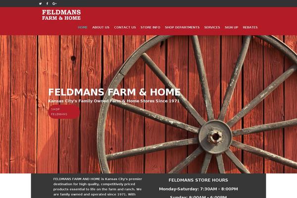 feldmans-fh.com site used New-salient-child-post-7-6
