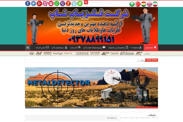Site using Google Language Translator plugin