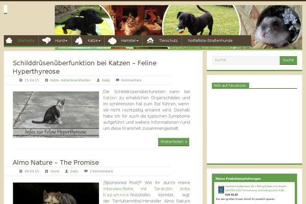 WordPress website example screenshot