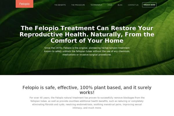 felopio.com site used Felopio