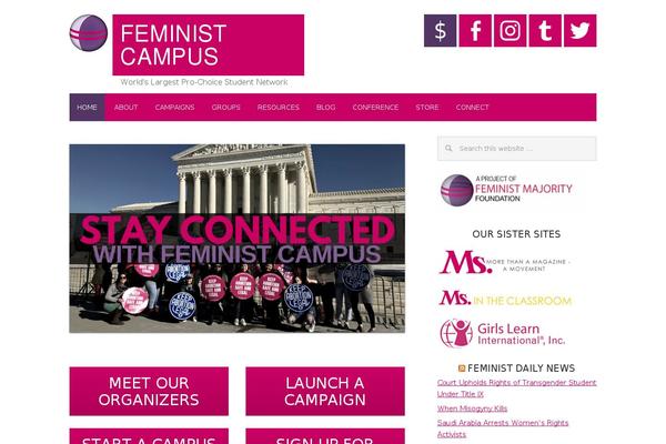 feministcampus.org site used Metro Pro