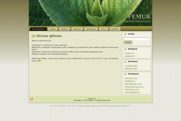 femur.pl site used Target_money_business_bue089