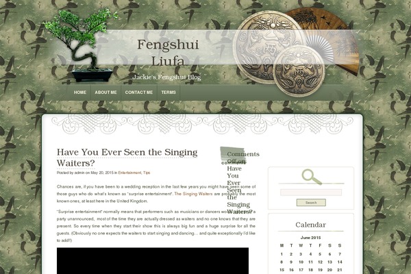 fengshui-liufa.com site used Dyne