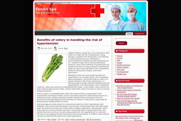 feniks-spa.com site used Red_cross_surgery