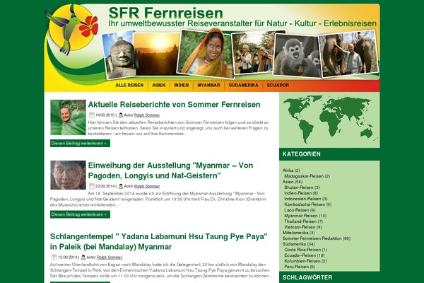 SFR theme websites examples