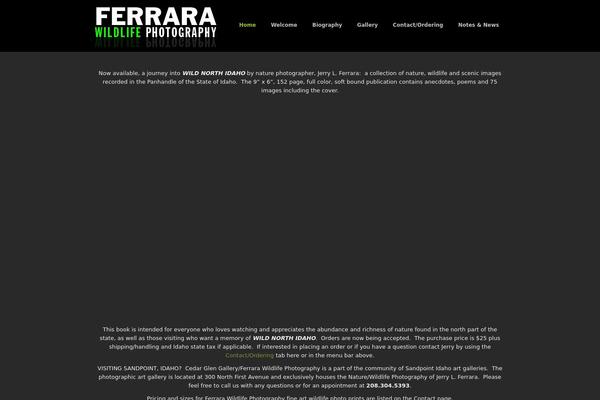 WordPress website example screenshot