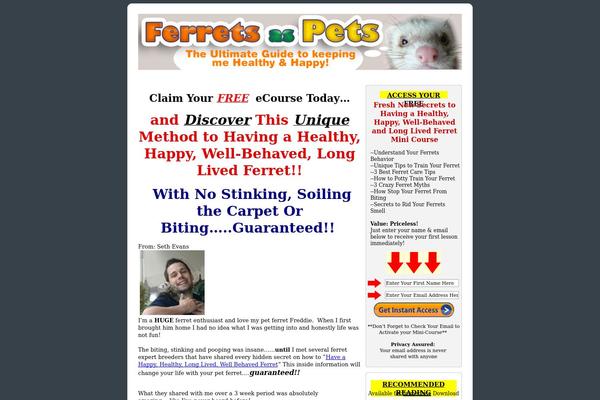 ferrets-as-pets.com site used Nicheprofitpress_dark_gray