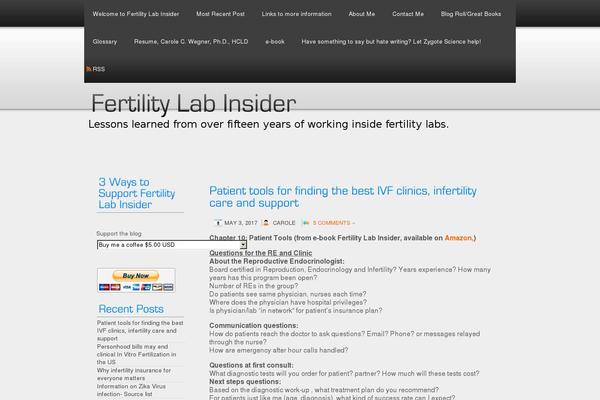WordPress website example screenshot