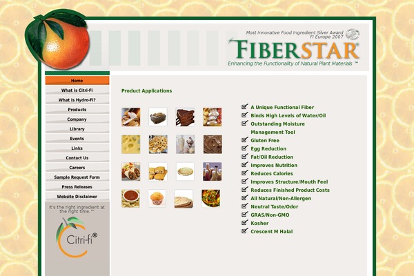 fiberstar.net site used Flourish-pro