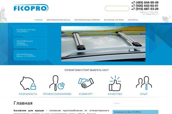 ficopro.ru site used Ficopro