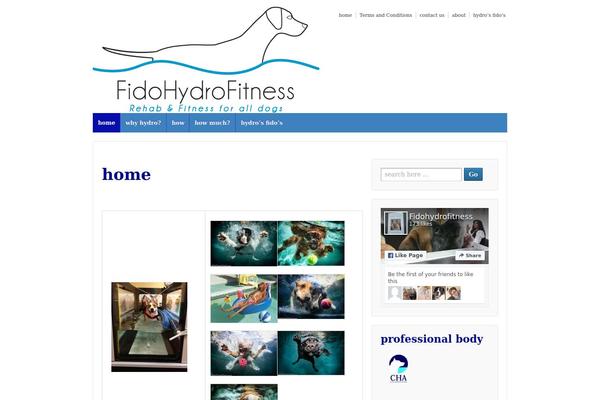 fidohydrofitness.com site used Responsivepro-2