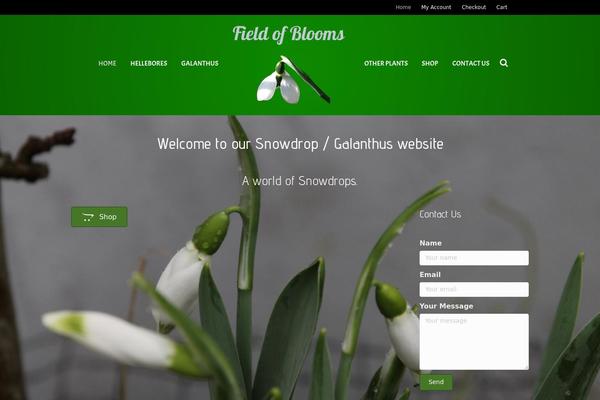 fieldofblooms.ie site used Fieldofbloomie1