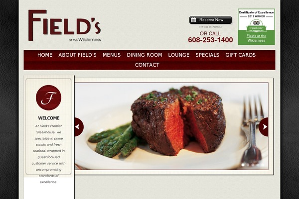Fields theme site design template sample