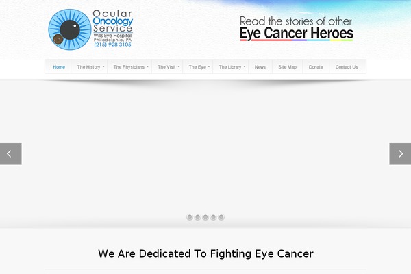 fighteyecancer.com site used Fight