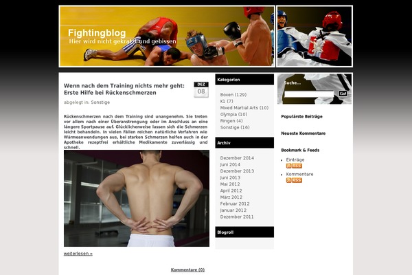 fightingblog.de site used Wp_cms