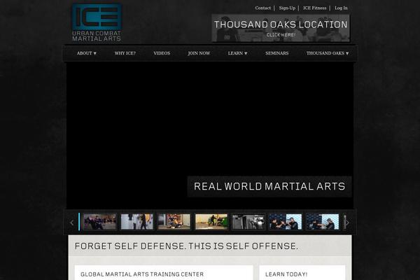 Ice theme site design template sample