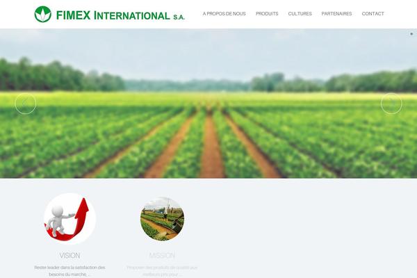 fimex-international.com site used Codeus