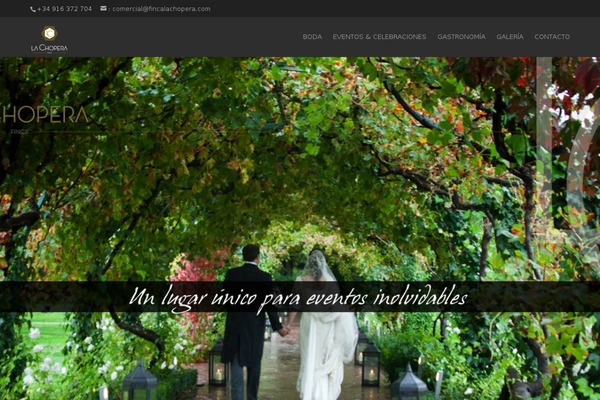 Divi theme site design template sample