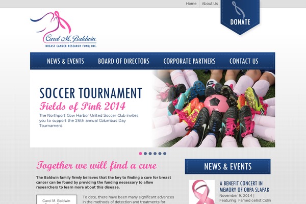 findacure.org site used Baldwin_theme